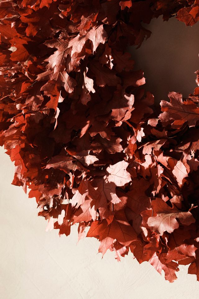 Preserved Maple Leaf Wreath #1