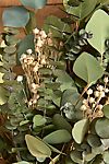 Preserved Eucalyptus + Flax Pod Wreath #1