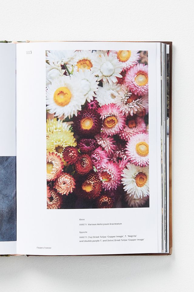 Flowers Forever #1