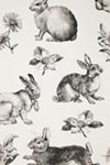 Weekender - Bunny Toile Sand main image 0