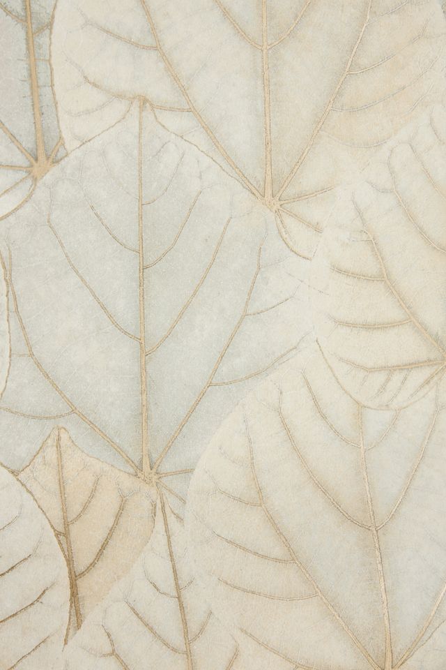 Leaf Concerto Floral Leafy Wallpaper #1