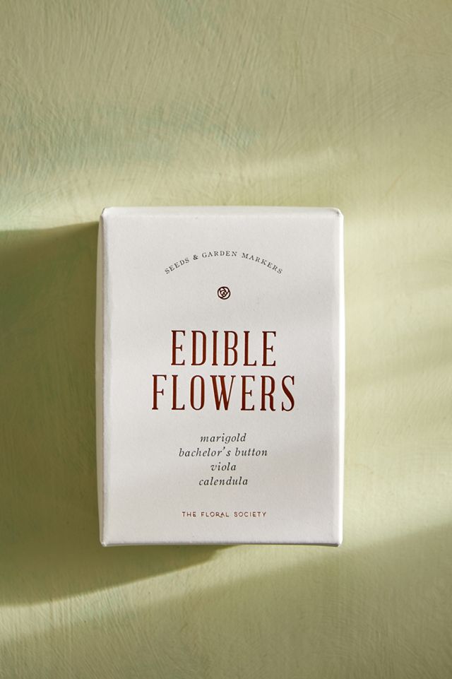 Edible Seed Growing Kit #1
