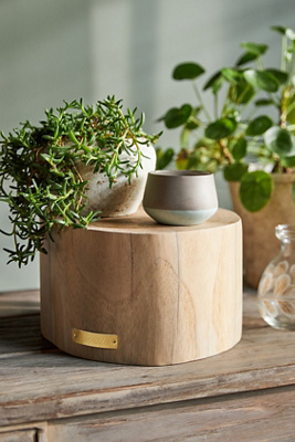 Teak Riser | Terrain