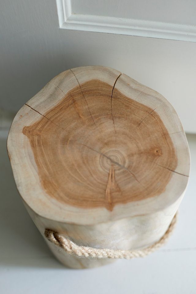 Teak Doorstop #1
