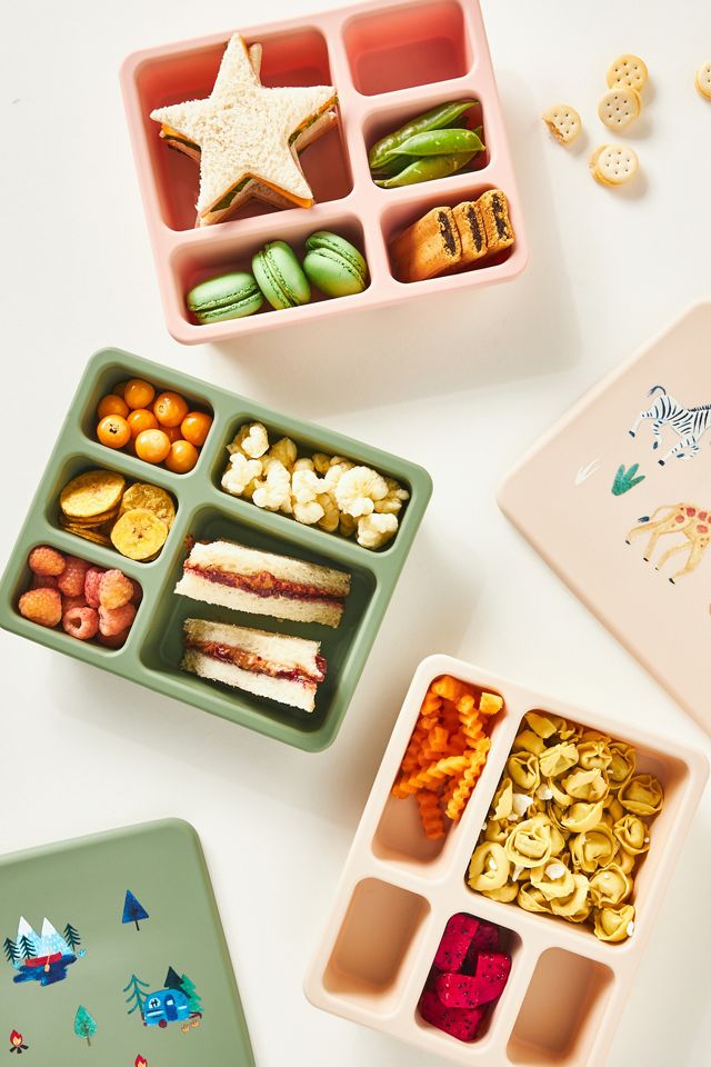 Austin Baby Collection Silicone Bento Box #2