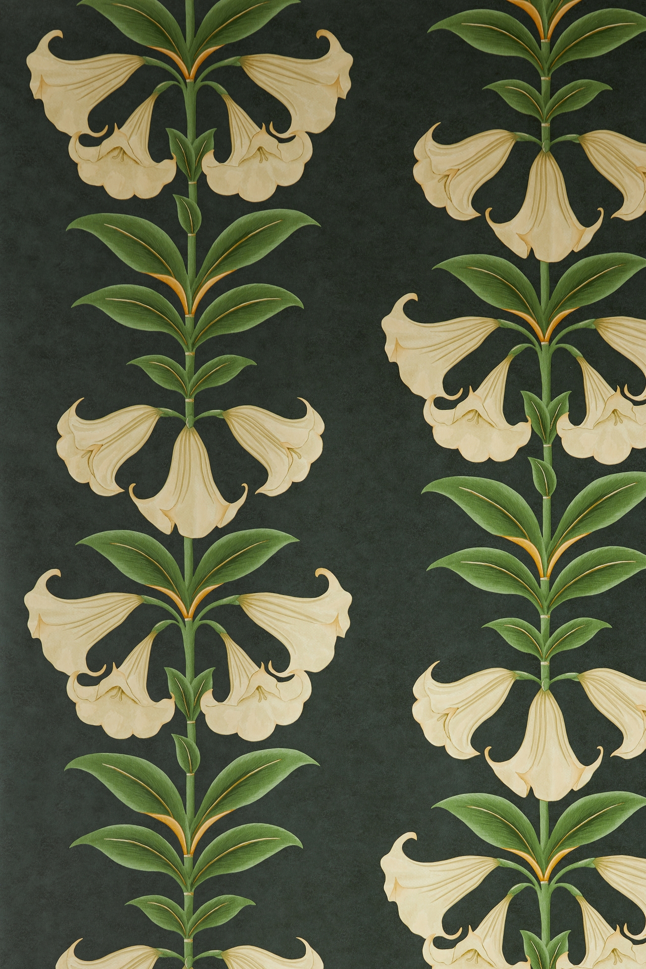 Cole & Son Angels Trumpet Wallpaper