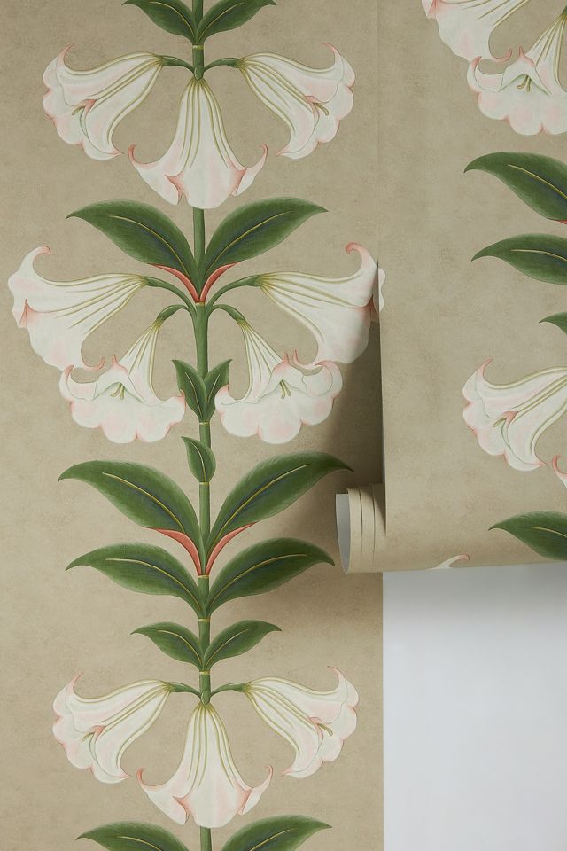 Angels Trumpet Floral Wallpaper #1