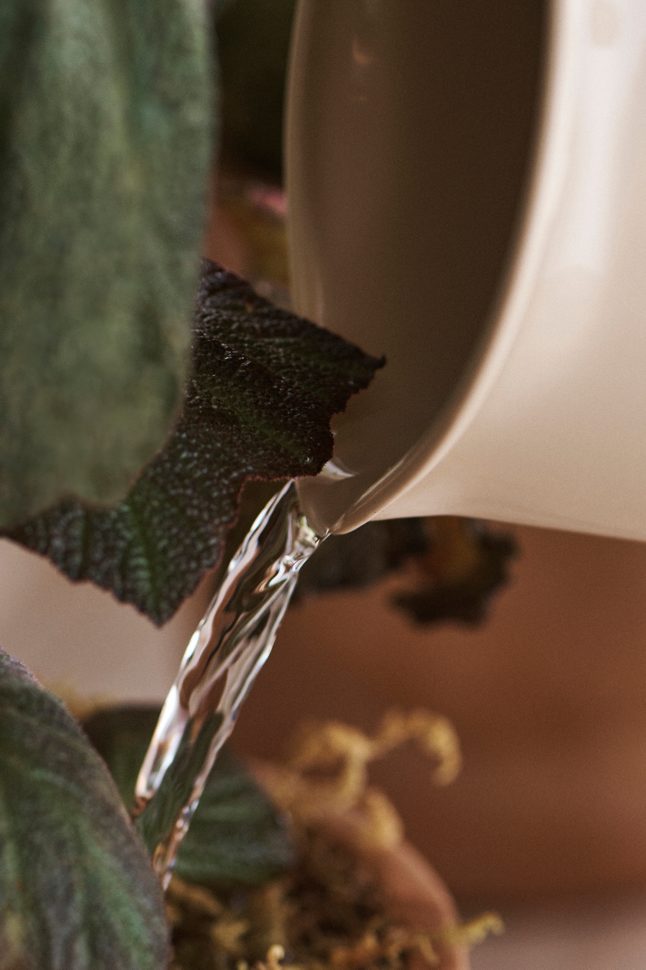 Haws Watering Pitcher