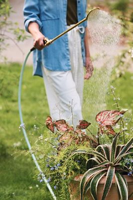 Twiggy Brass Plant Support