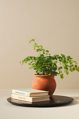 Anthropologie Pure Marble Vanity Tray
