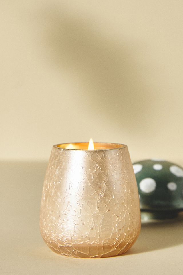Amanita Mushroom Candle #2