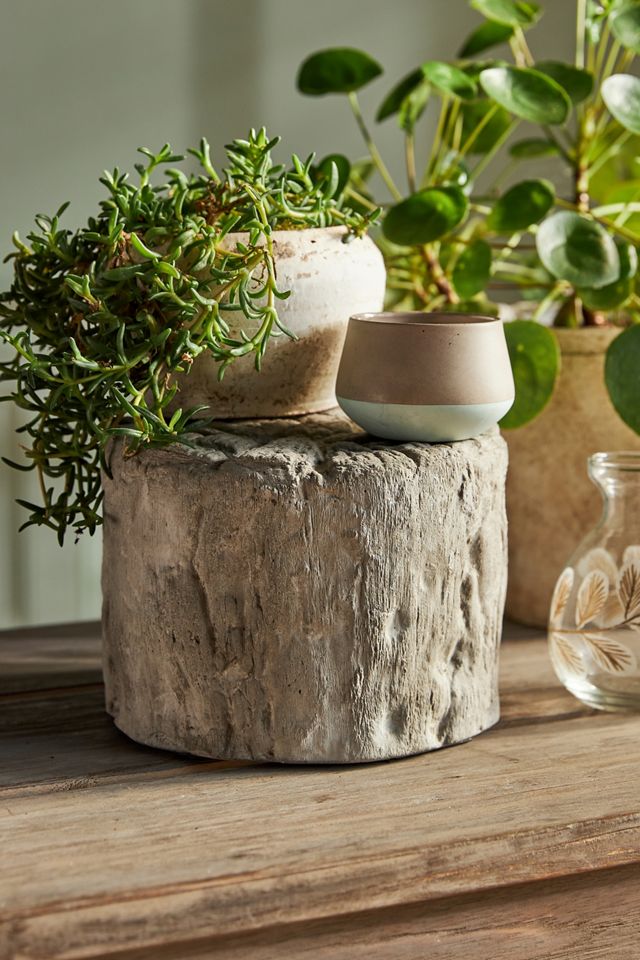 Faux Bois Riser | AnthroLiving