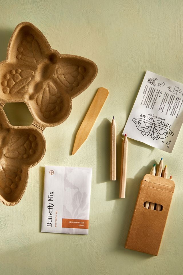 Butterfly Garden Activity Kit #1