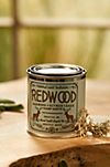 National Park Tin Candle, Redwood #1