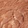 Cedar