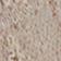 Light Sand