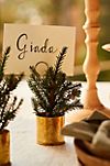 Faux Potted Pine Place Cards, Set of 4 #1