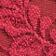 Light Red