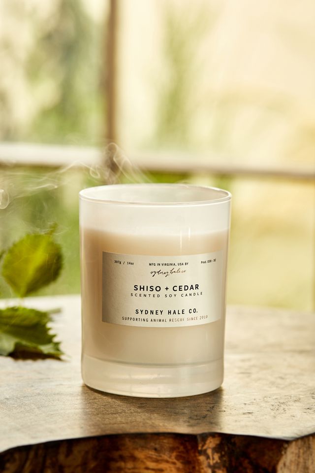 Sydney Hale Candle, Shiso + Cedar #1