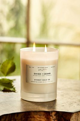 Sydney Hale Candle, Shiso + Cedar