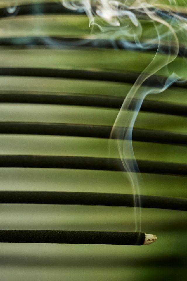 Citronella Hanging Coil, Large #1