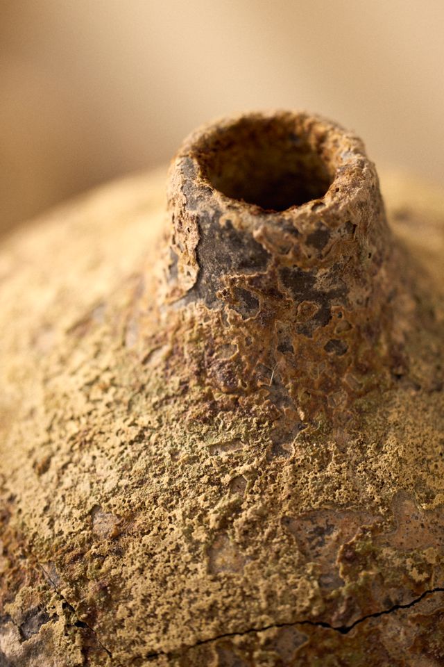 Barnacle Stone Vase #1