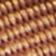 Maple Sugar Multi