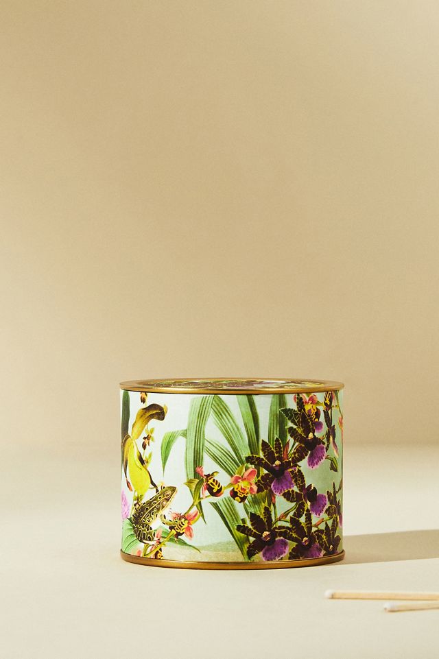 Botanist Library Mini Candle #1