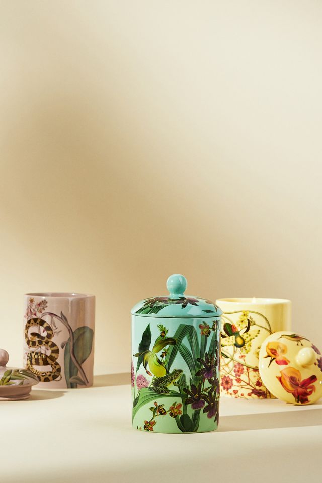 Botanist Library Jar Candle #2