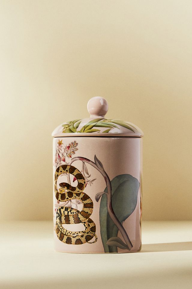 Botanist Library Jar Candle #4
