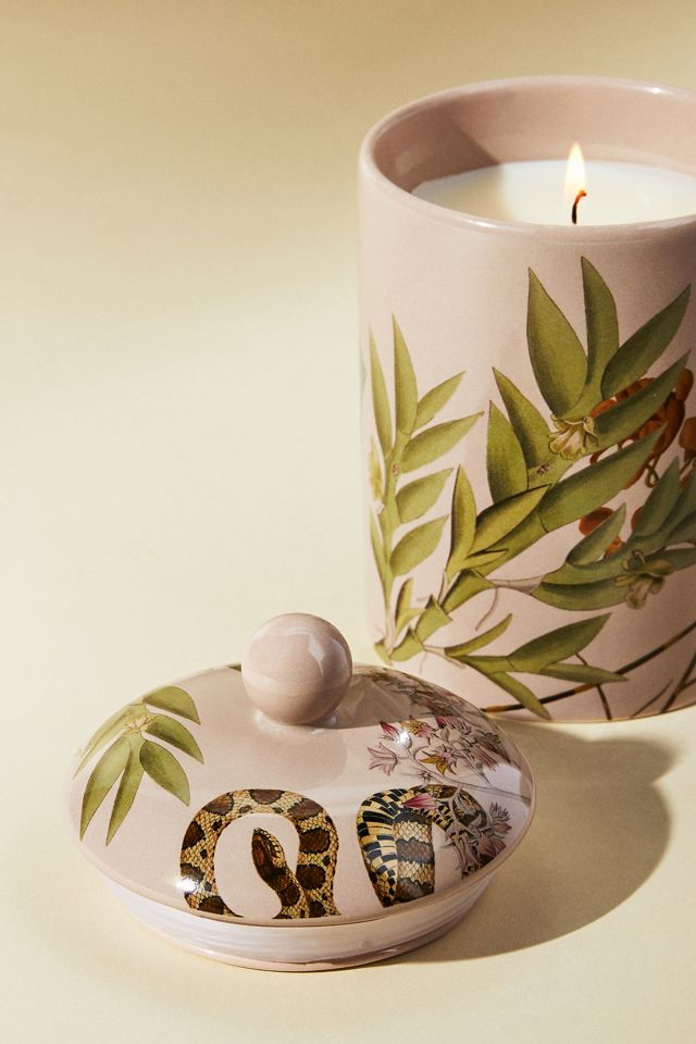 Botanist Library Jar Candle #5