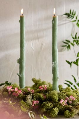 Terrain Cedar Stick Candles Set Of 2, 12" In Green