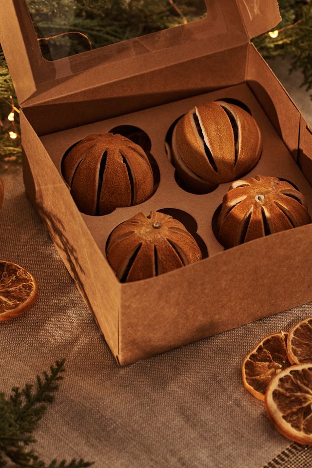 Dried Sliced Oranges #1