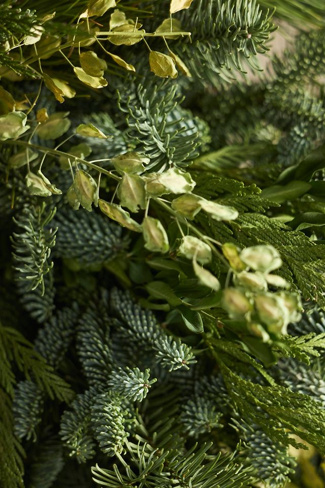 Fresh Noble Fir + Boxwood Wreath #7