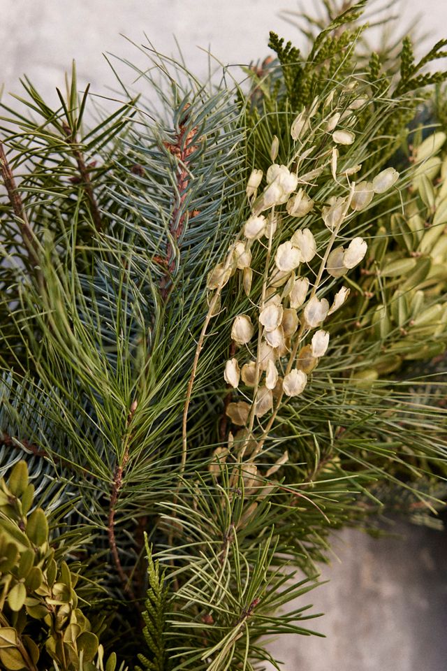 Fresh Noble Fir + Boxwood Wreath #3
