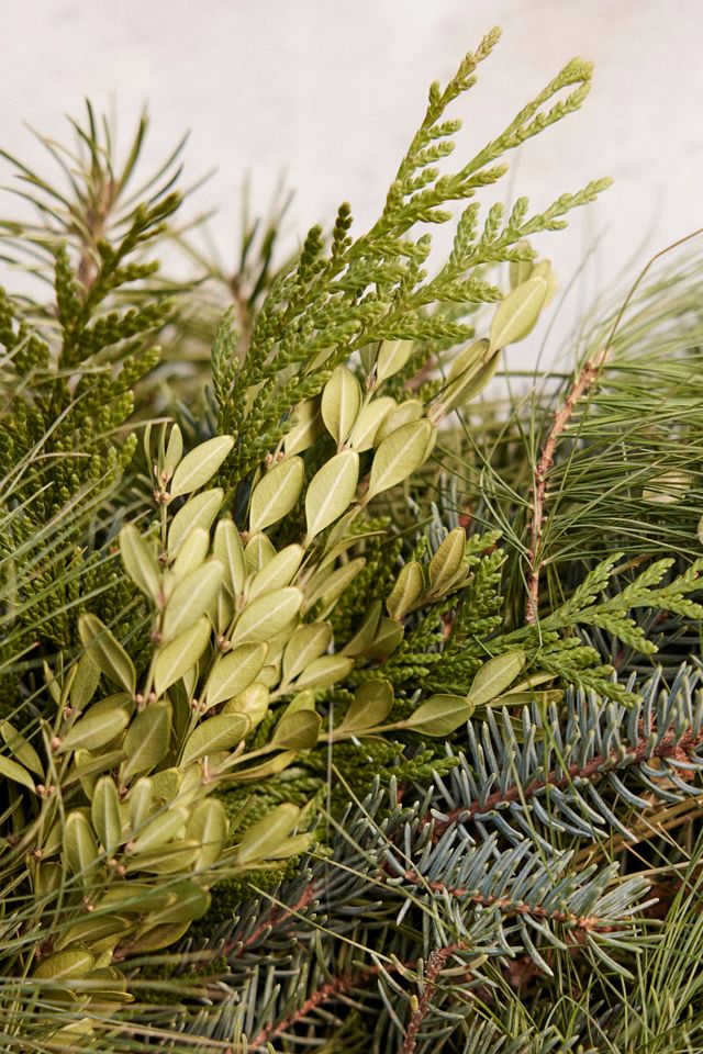 Fresh Noble Fir + Boxwood Wreath #5