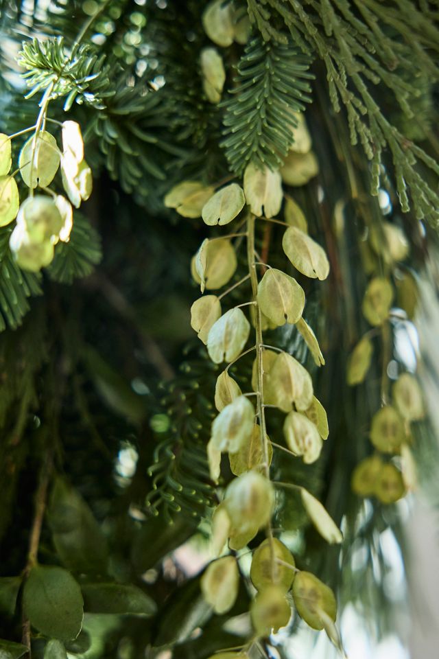 Fresh Noble Fir + Boxwood Wreath #6