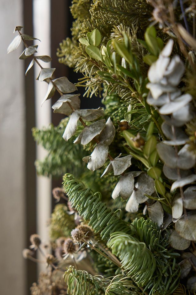Preserved Fir, Boxwood + Eucalyptus Wreath #1