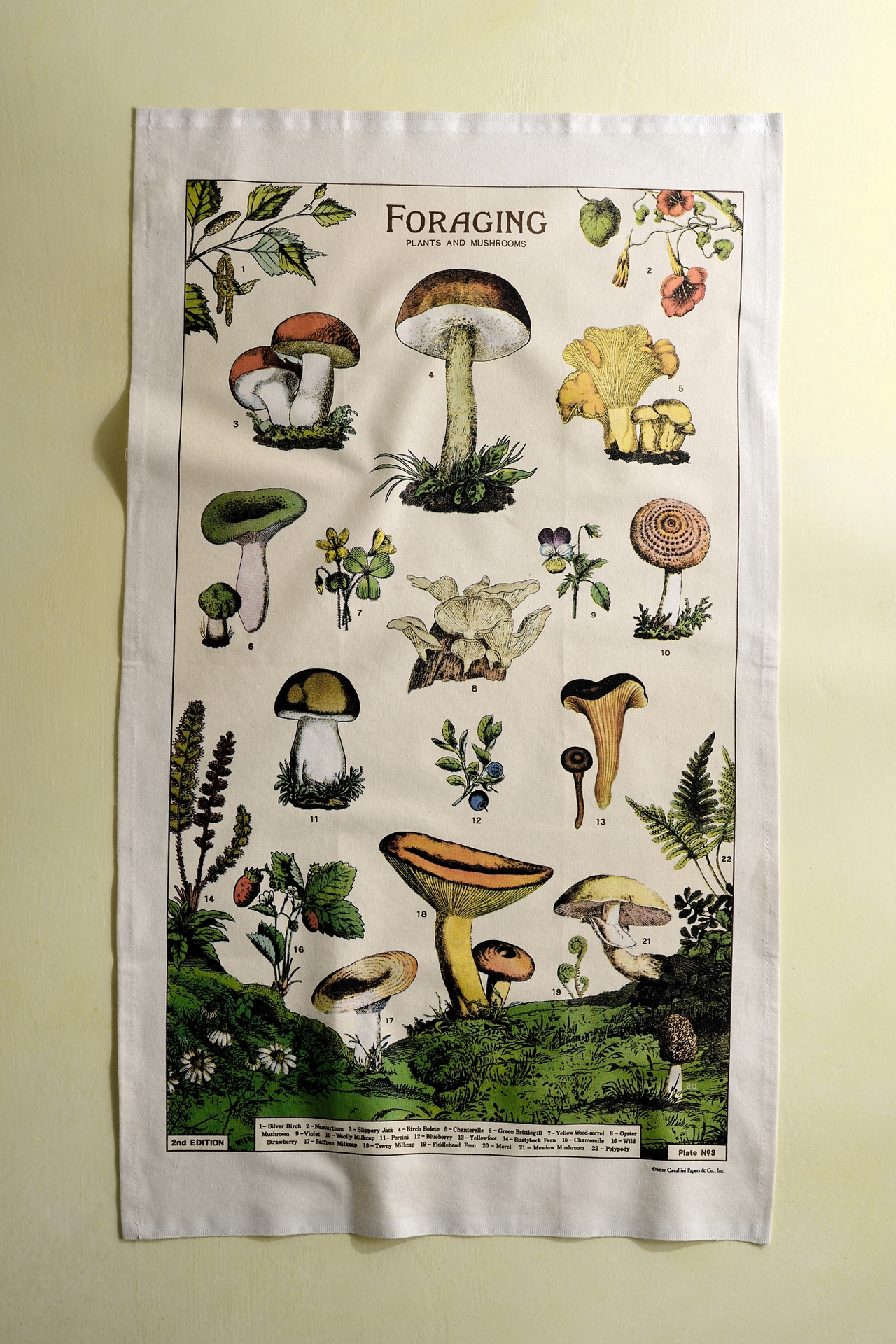 Foraging Cotton Dish Towel