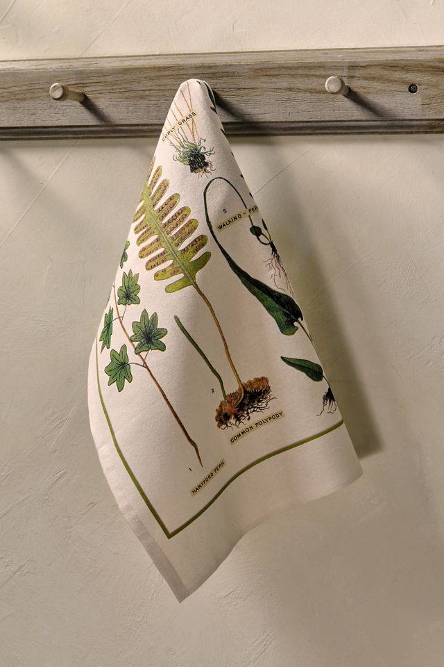 Ferns Cotton Dish Towel #1