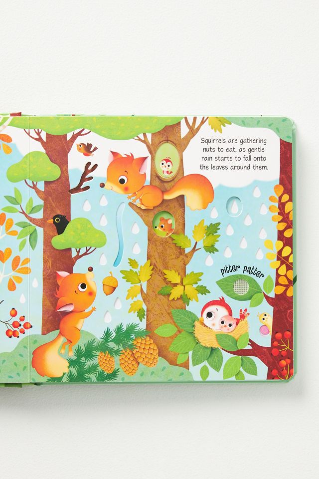 Woodland Sounds #1