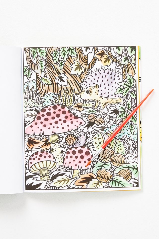 Woodland Magic Painting Book #2