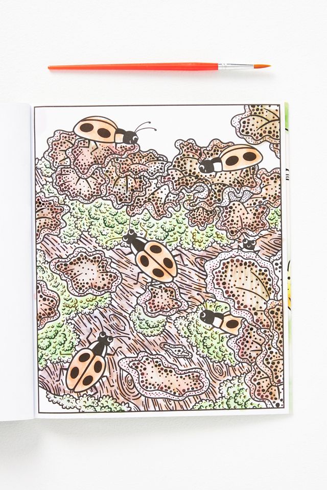 Woodland Magic Painting Book #3