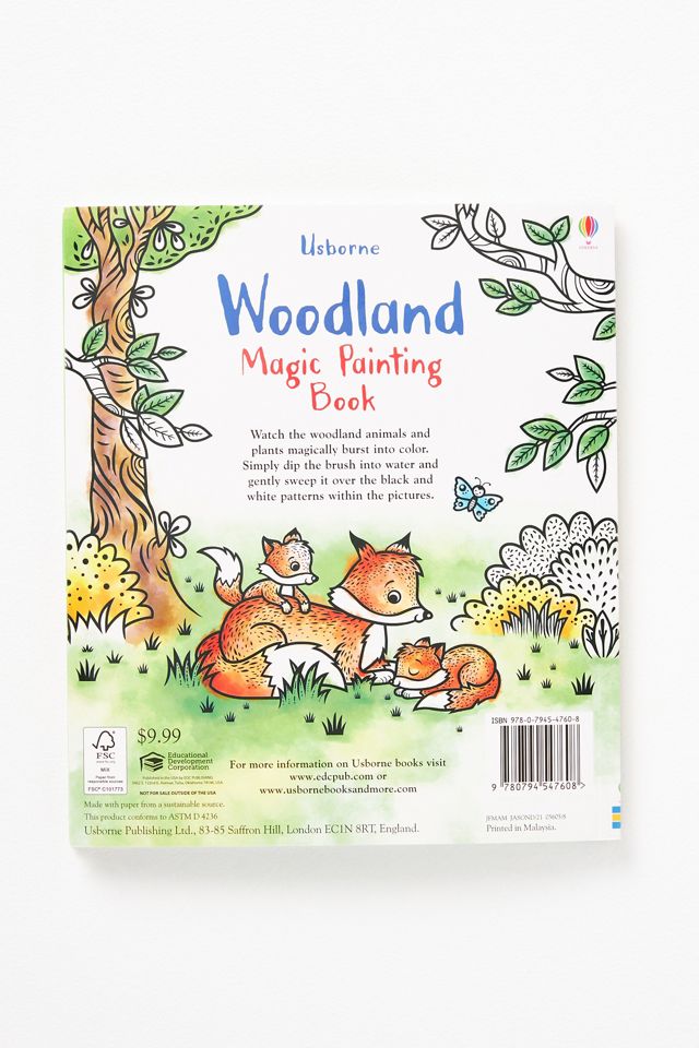 Woodland Magic Painting Book #4