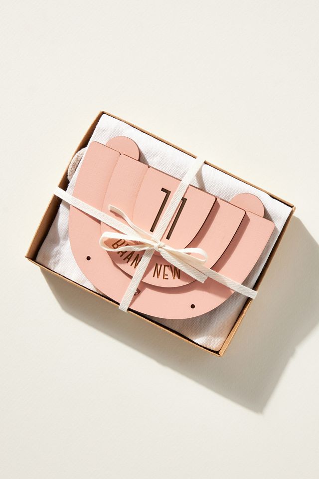 Bear Cub Baby Milestone Set #1