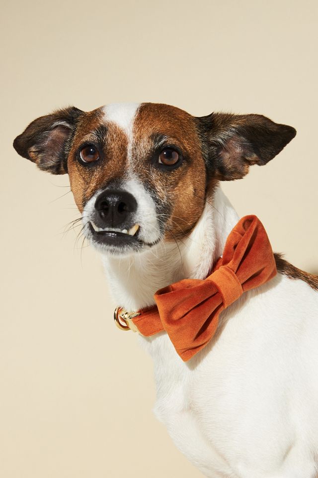 The Foggy Dog Bowtie - Houndstooth