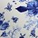 Blue Pattern