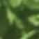 Green Pattern