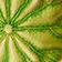 GREEN MOTIF