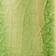 Green Pattern